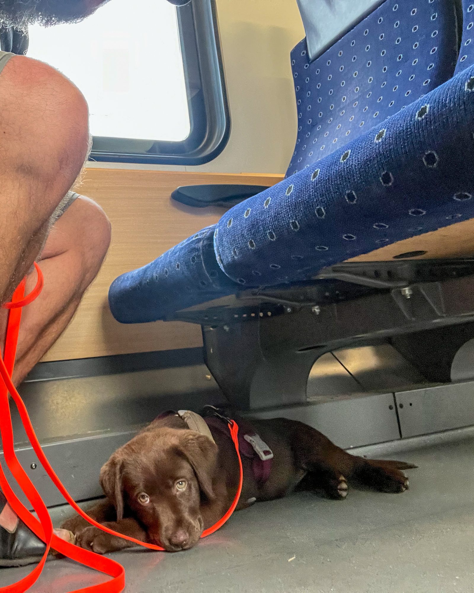 Jaina in the train